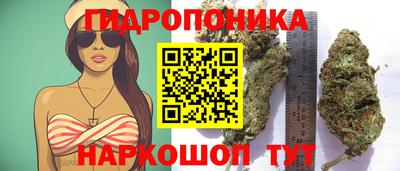 ПСИЛОЦИБИНОВЫЕ ГРИБЫ Кулебаки