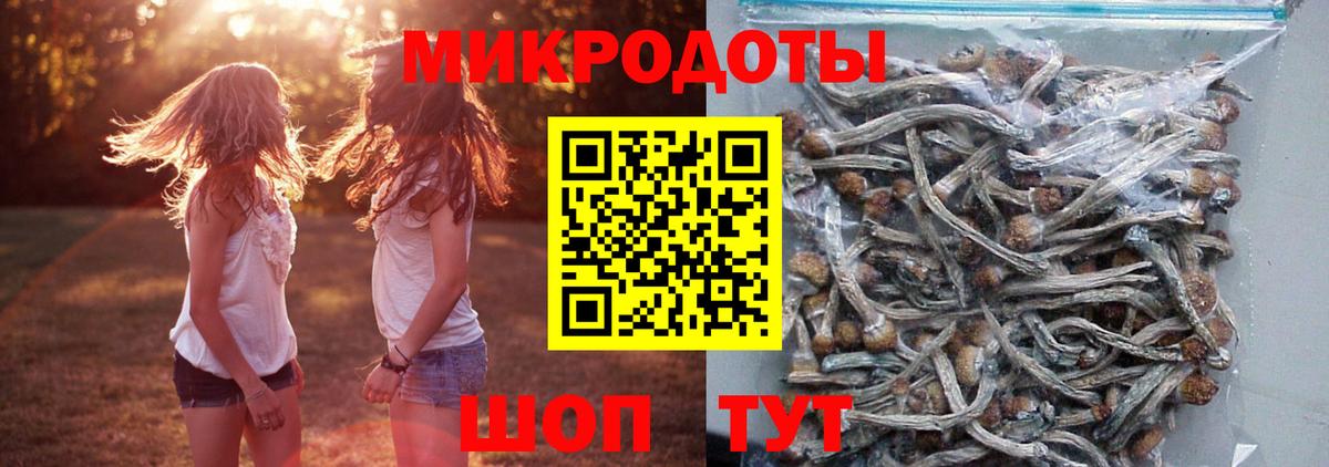 Галлюциногенные грибы GOLDEN TEACHER Иваново